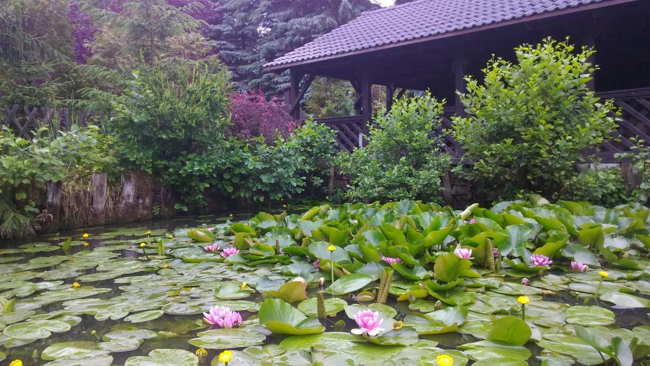 Dankowska Dolina Villa Dış mekan fotoğraf